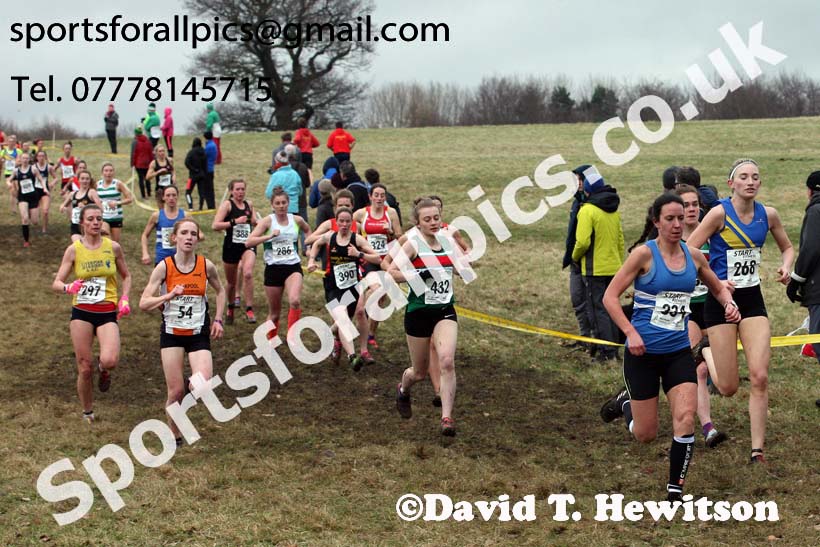 Senior women, 2018 Northern Cross Country Champs., Harewood House, Leeds. Photo: David T. Hewitson/Sports for All Pics